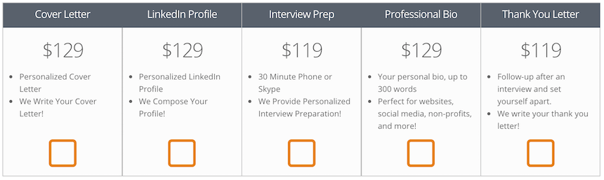 resumespice.com types of services